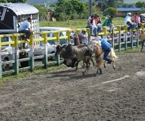 Pista de Coleo Acacias Fuente 3bp blogspot com